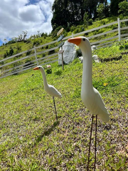 Sitio Vale Das Pedras Alfredo Wagner Esterno foto